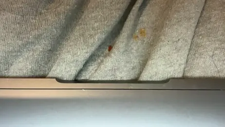 LucyLuxee19 webcam model stream image