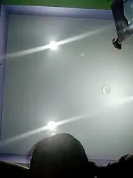 bold-couple webcam model stream image