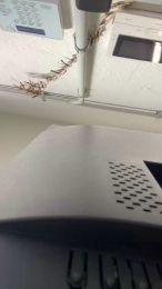 Porcellone22 webcam model stream image