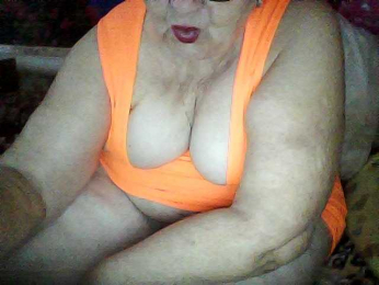 modelfik webcam model stream image