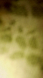 Ladyboyforyou webcam model stream image