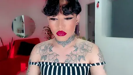 little_star_porn webcam model stream image