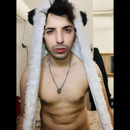 Dmarchetta webcam model stream image