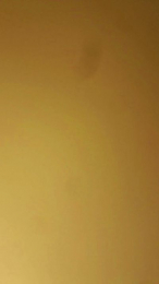 RAUL2T9 webcam cam4 model stream image