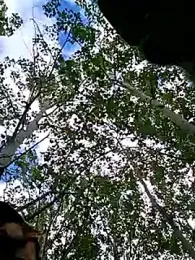 Fuckboy4public webcam model stream image