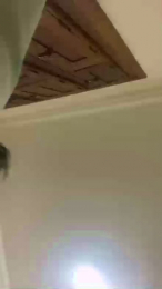 ryan2028 webcam model stream image