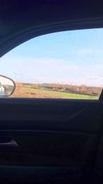 Gerontofilia webcam model stream image