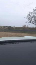 Gerontofilia webcam model stream image