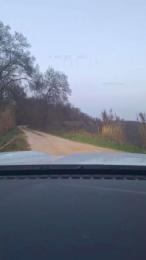 Gerontofilia webcam model stream image