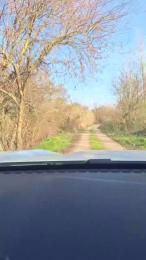 Gerontofilia webcam model stream image