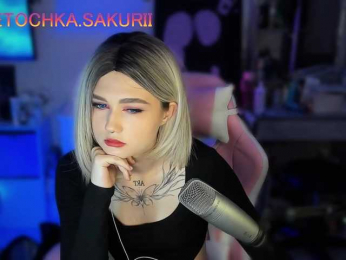 vanslly webcam model stream image