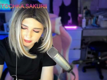 vanslly webcam model stream image