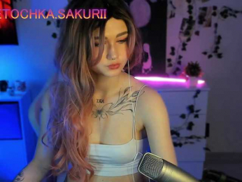 vanslly webcam model stream image