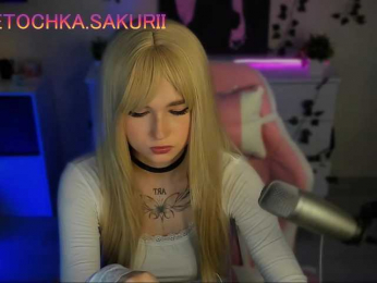 vanslly webcam model stream image