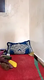 trans511 webcam stripchat model stream image