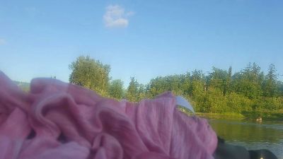 lishrimpdick webcam model stream image