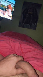 Vittosto webcam model stream image