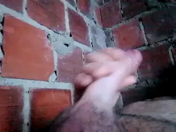 w31 webcam model stream image