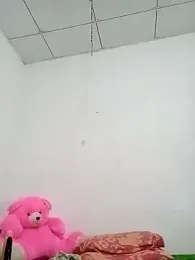 SLNISHU webcam model stream image