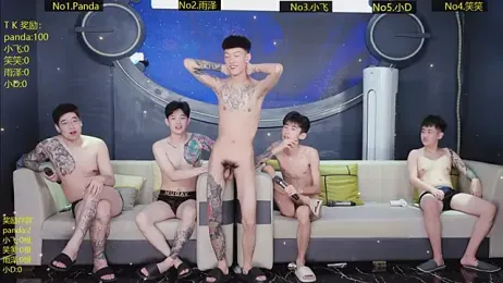 SX-009 webcam model stream image