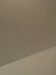 DanteRJ webcam model stream image