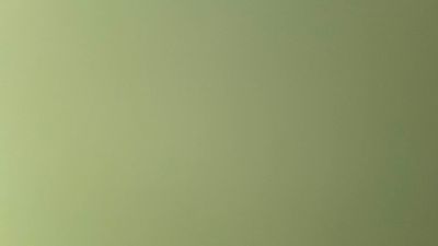 coutopequenx2 webcam model stream image
