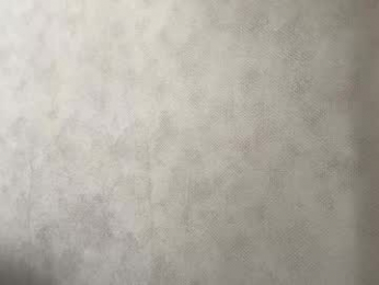 heart_petal webcam model stream image