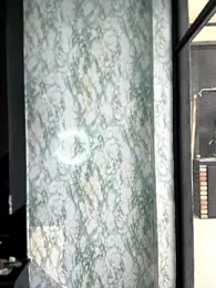 Mila_LS webcam model stream image