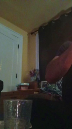 brucejuce666 webcam model stream image