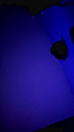 Grueso34 webcam model stream image