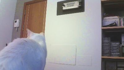 seralons webcam cam4 model stream image