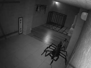 voyeurcam-jb-domination-1 webcam model stream image