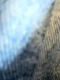 Emily-Nguyen webcam model stream image