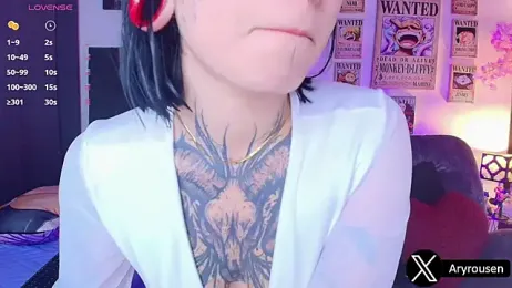 Aryrouse webcam model stream image