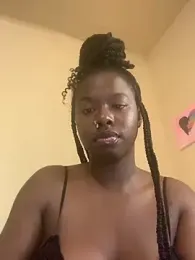 TinyBlazian901 webcam model stream image