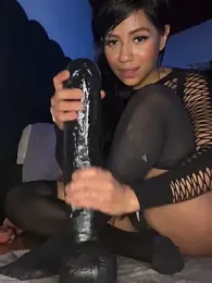 shaylin_brooke1 webcam model stream image