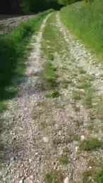 Legtiste webcam model stream image