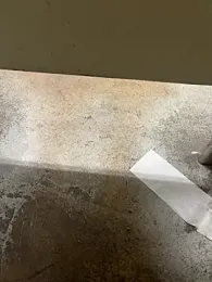 curis4270panda webcam model stream image