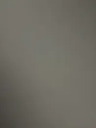 curis4270panda webcam model stream image