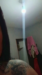 Geminniana webcam model stream image