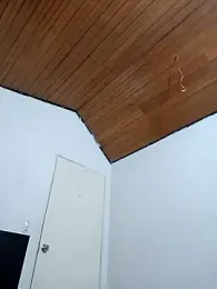 Ariana_Rodriguez webcam model stream image