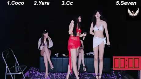SR-101 webcam model stream image