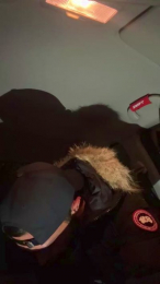 Bi_curieux webcam model stream image