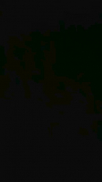shirin_ webcam model stream image