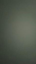 Rapniv2 webcam model stream image