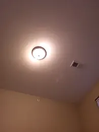 AmethystFoxx webcam stripchat model stream image