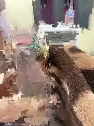 its_Surya_BBC webcam stripchat model stream image