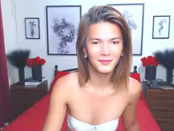 diense17 webcam model stream image