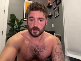 forestcliff webcam model stream image