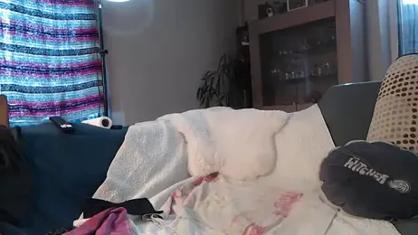 Lily-Diabl3ss webcam model stream image